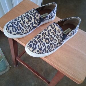 Steve Madden Leopard Print Slip-On Shoes